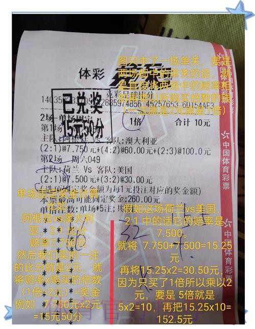 世界杯投注：专家预测助你赢取巨额奖金