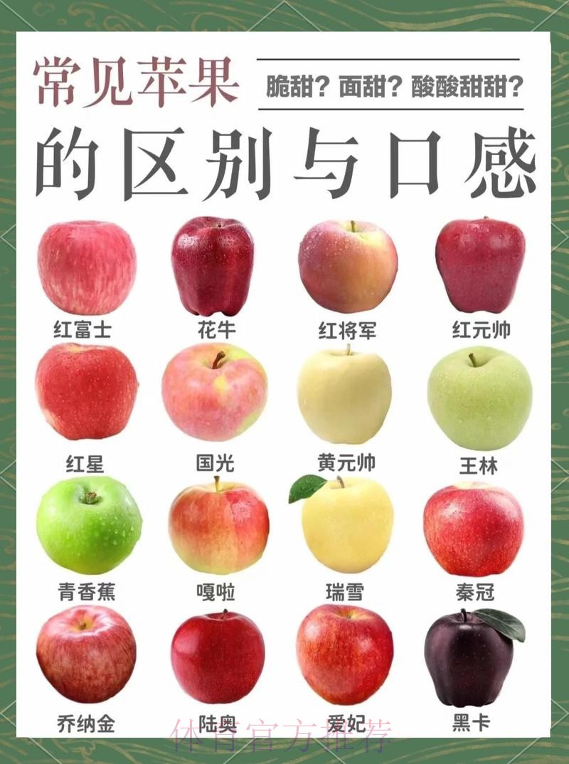世界杯外围苹果全站精彩解析