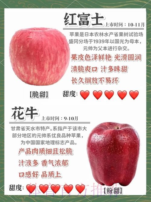 世界杯外围苹果全站精彩解析